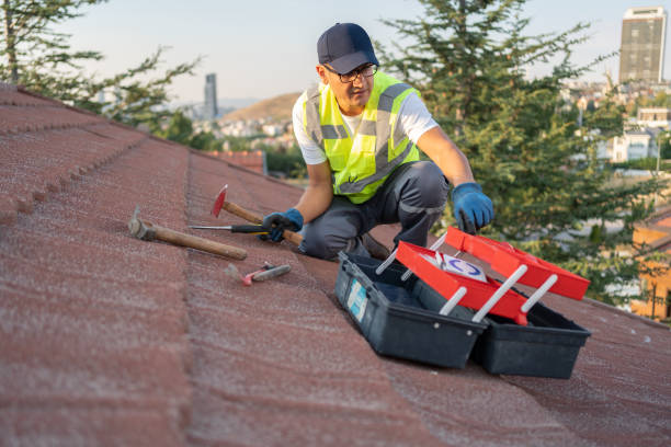 Best Historical Building Siding Restoration  in South Greeley, WY